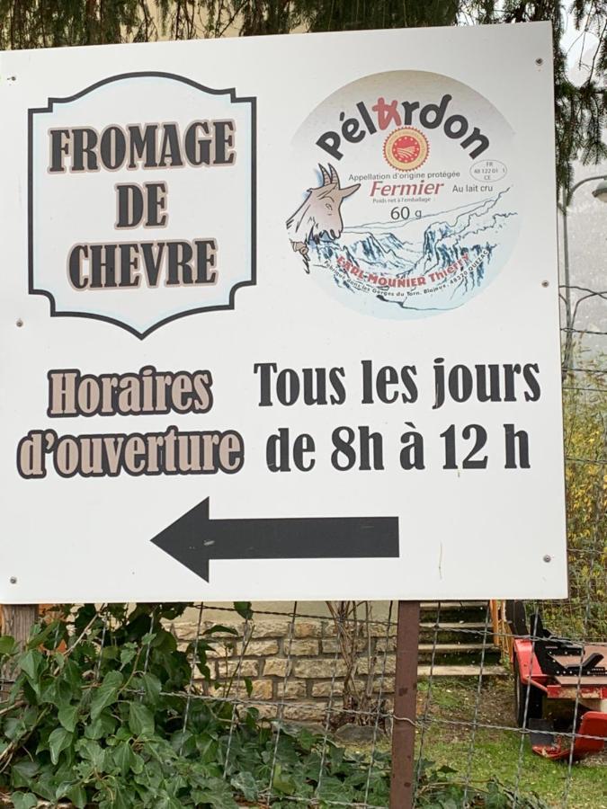 Quezac  La Voutee 5 Epis Avec Bain Finlandais Prive Au Manoir Du Charme Gorges Du Tarn B&B 외부 사진